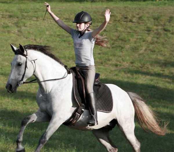 Girl rides her grey horse with no hands on the reins