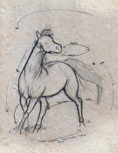 Sketch of horse's movement