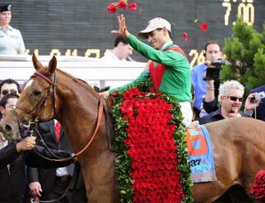 More Than Money : The Thoroughbred Horse