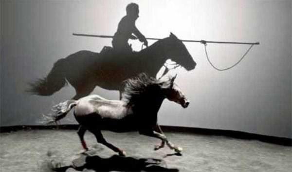A horse gallops in a pen while being followed by a shadow rider.