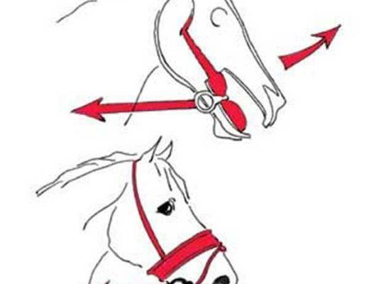 Philippe Karl's thoughts on the use of high or low hands in riding horses