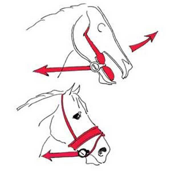 Philippe Karl's thoughts on the use of high or low hands in riding horses