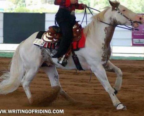 Pulling on the horse's mouth to stop is a very cruel punishment to the horse