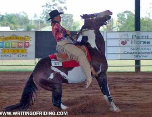 Pulling and yanking on the reins can severely injure the horse's sensitive mouth tissues and result in violent reactions from the horse like rearing and flipping over