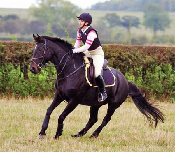 Black horse spooks under it's rider in a field