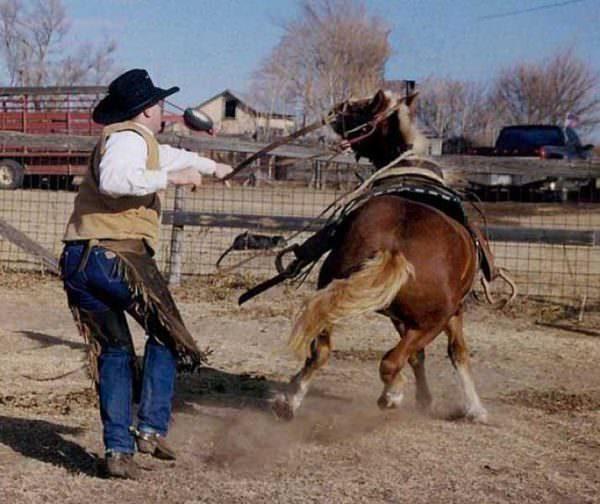 A cowboy struggles as his young horse attempts to break from when being started under saddle.