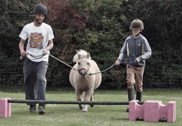 Two kids lead a miniature horse over a small jump