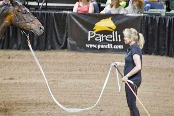 Linda Parelli at a demo shake the line at her bay horse who puts his ears back