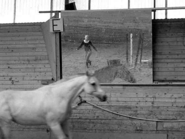 Grey horse being free lunged in an arena past a mirror showing his handler.