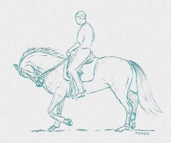Outline of a rider holding their horse in an extreme hyperflexed position of the head and neck.
