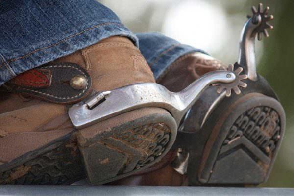 Close up of rowelled spurs on a pair of cowboy boots.