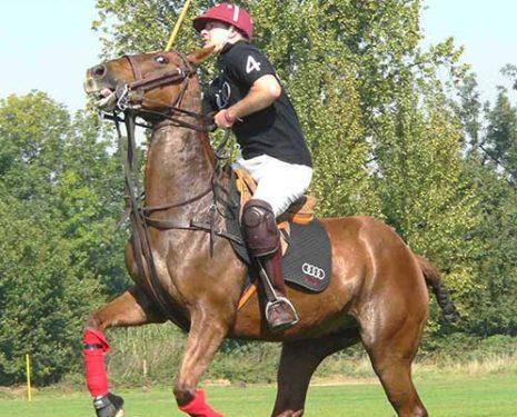A polo pony gapes his mouth as his rider's bad hands pull on the reins.