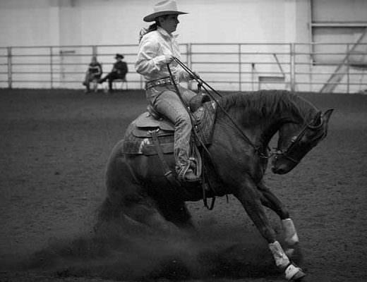 Reining Competitions Promote Hyperflexion and Running the Horse into Walls