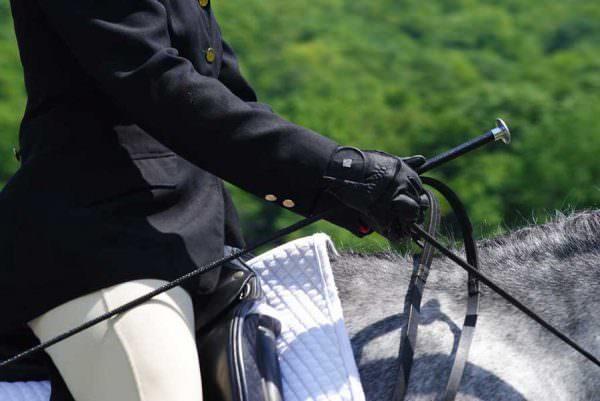 A dressage rider at a competition holds the reins and a whip.