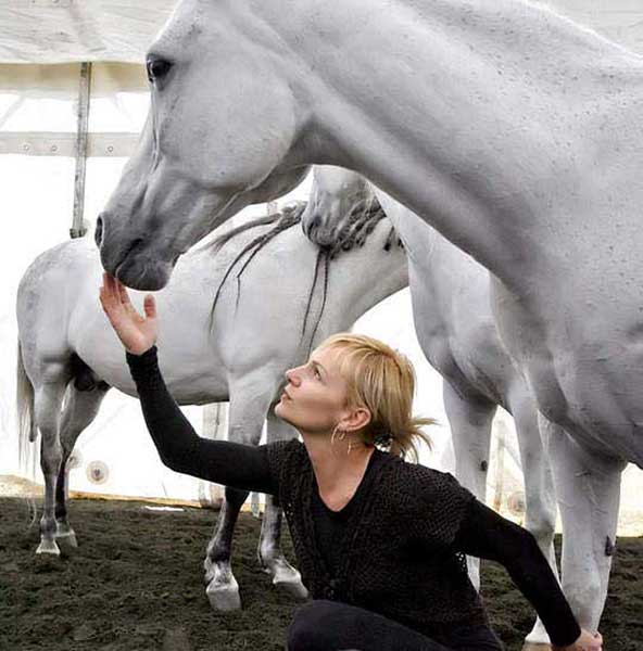 Cavalia's "Liberty Show" trainer Sylvia Zerbin spends time with just-arrived Arabian horses at the Burbank location of the upcoming show on Thursday, January 13, 2011. Cavalia: A Magical Encounter Between Horse and Man premieres January 19. (Raul Roa/Staff Photographer)