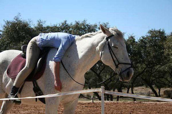 English rider lays over her horse's neck while her horse stands lazily closing his own eyes.