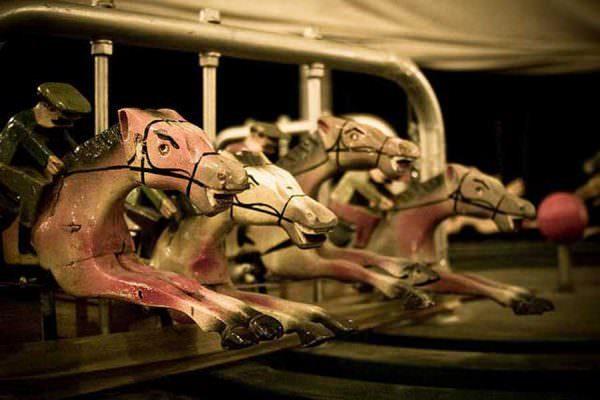 Angry Wooden Race Horses