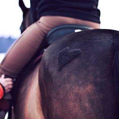 Equestrian Ability vs. Desire