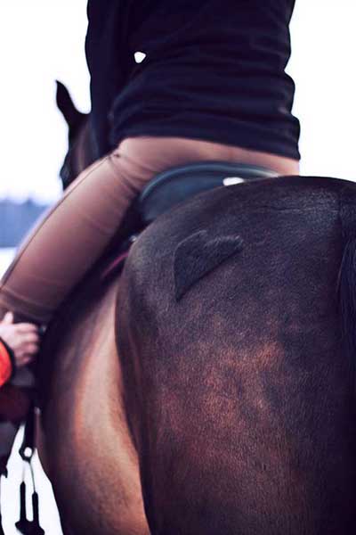 Rider sitting on her horse during a lesson, has shaved a heart pattern on her horse's rump.