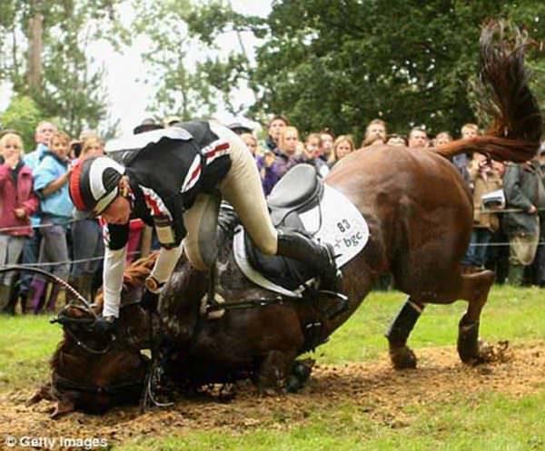A horse and rider crash against the ground while on a cross-country course.