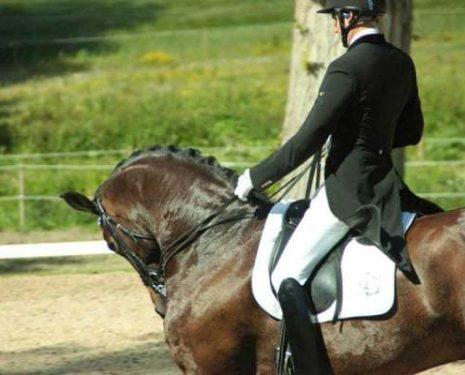 Rollkur hyperflexion of the neck during a warmup for Grand Prix Dressage competition