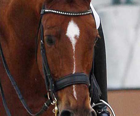 Student of Anky van Grunsven Adelinde Cornelissen was disqualified during a ride when her horse cut it's mouth on the bit