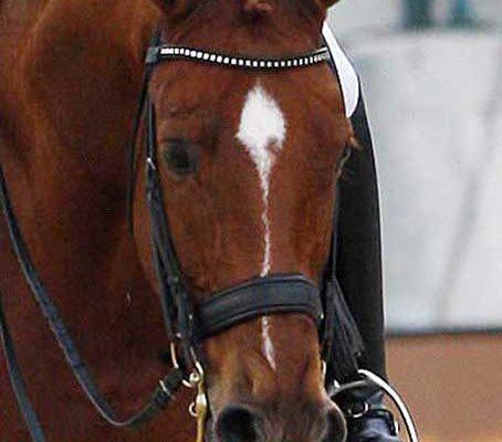 Student of Anky van Grunsven Adelinde Cornelissen was disqualified during a ride when her horse cut it's mouth on the bit