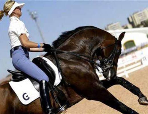 Anky rides her horse in hyperflexion at the canter