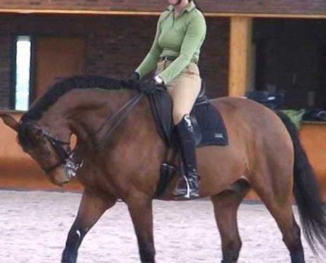 A student of Anky van Grunsven rides her horse in hyperflexion while leaning backwards in the saddle