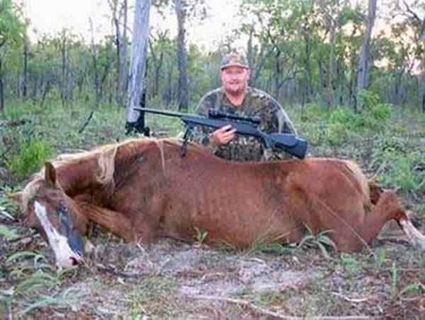 Horse trophy hunts in Australia are still common