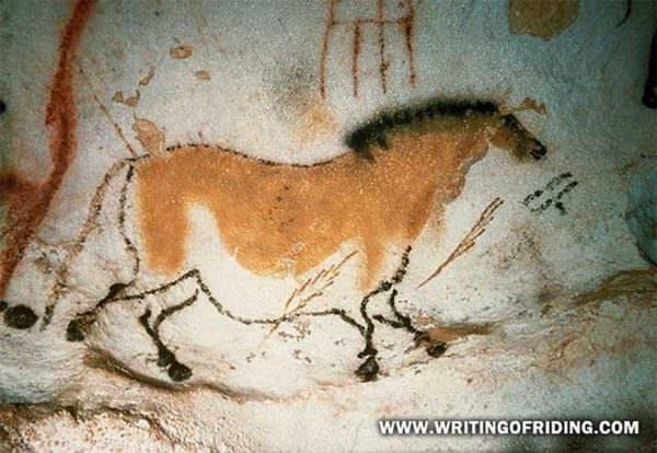 Horses have been a fundamental part of human history and culture since we were living in caves.