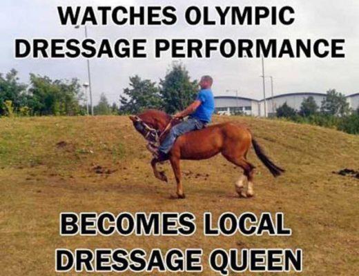 Dressage Queen Meme