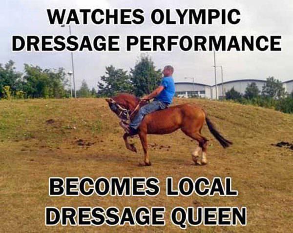 Watches Olympic Dressage Performance, Becomes Local Dressage Queen