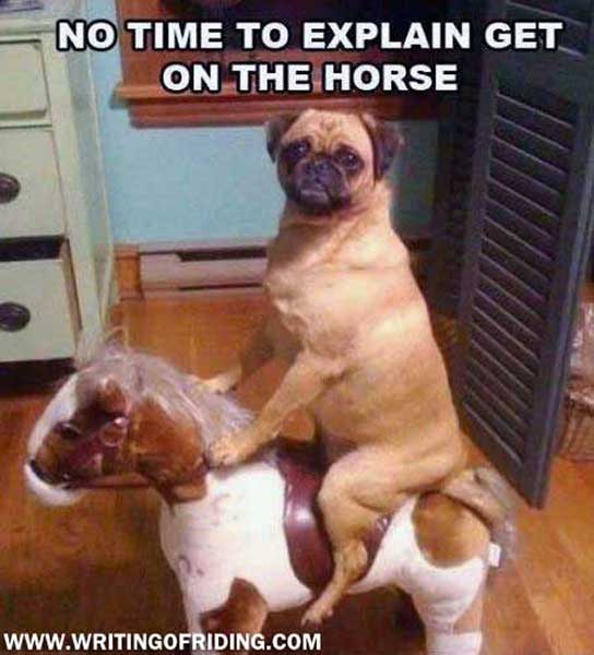 No Time To Explain, Get on the Horse