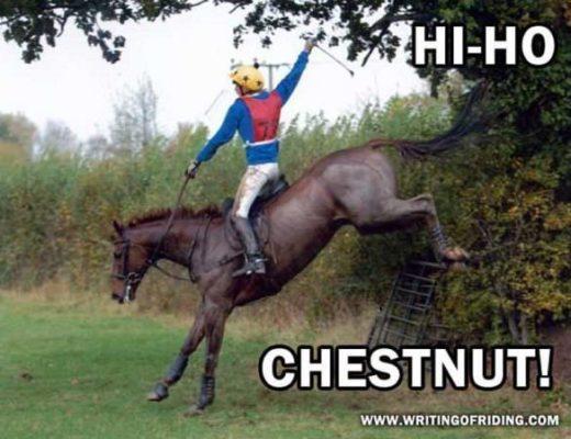 Hi-Ho Chestnut!