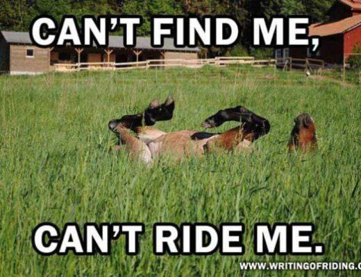Can’t Find Me, Can’t Ride Me.