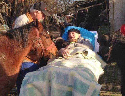 An Equestrian’s Dying Wish