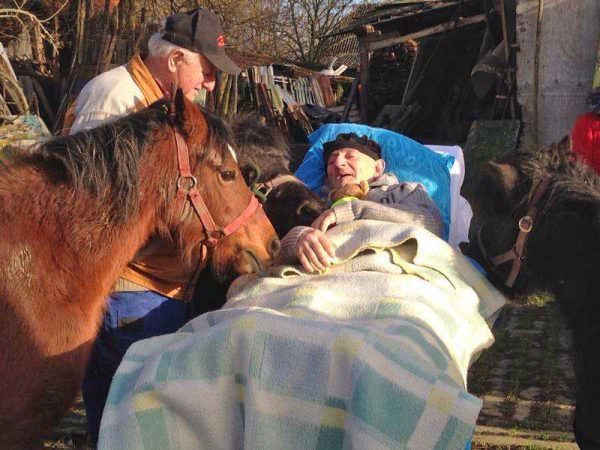 A horseman's dying wish to see his ponies