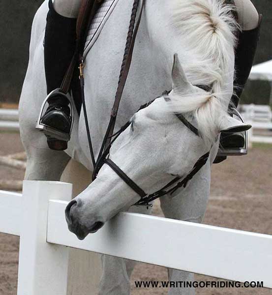 Horse rubbing his face on the rail of a fence at a horse show.