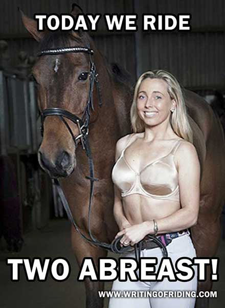 It's easy to get confused on the literal meaning of equestrian terms...