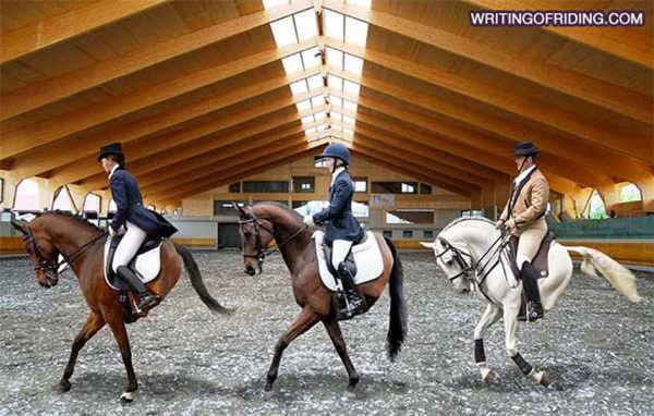 When dressage horses are manipulated into behaving like robots rather than partners it is unfortunate to watch them perform.