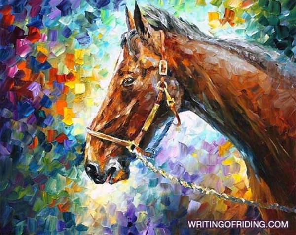 Equestrians often deprive themselves of self abundance, self indulgence, self care for their creative nature.