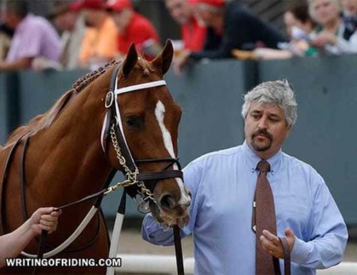 PETA Exposes Horse Racing