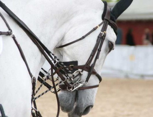 Are you abusing your tack?