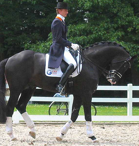 Edward Gal trained and rode Gribaldi in hyperflexion.
