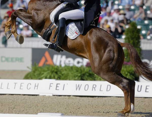 The World Equestrian Games are always full of surprises for riders and spectators.