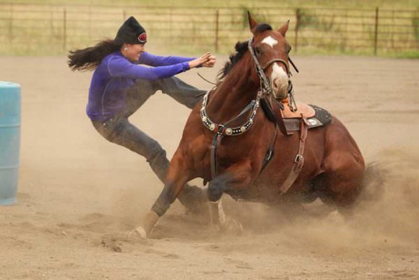 Barrel racers might be accustomed to high-speed accidents, but the horses still suffer for them even if the riders are getting a thrill from the activity.