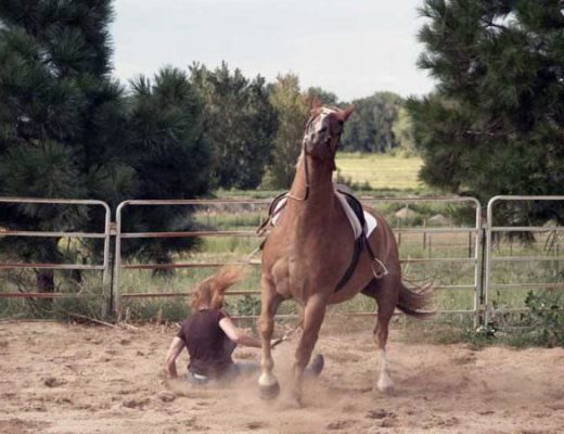Visual Lesson: Eitan Beth-Halachmy on Training Your Horse to Dump You