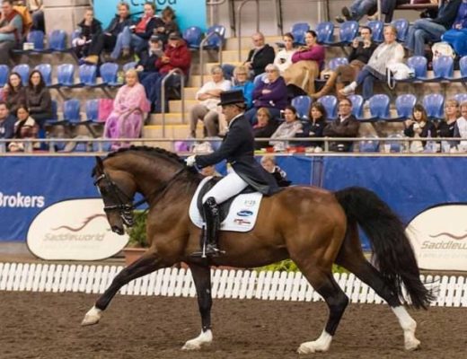 Money Isn’t a Factor in Competitive Dressage