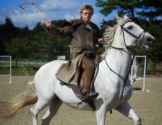 Man riding a white horse with his whip thrown up in the air